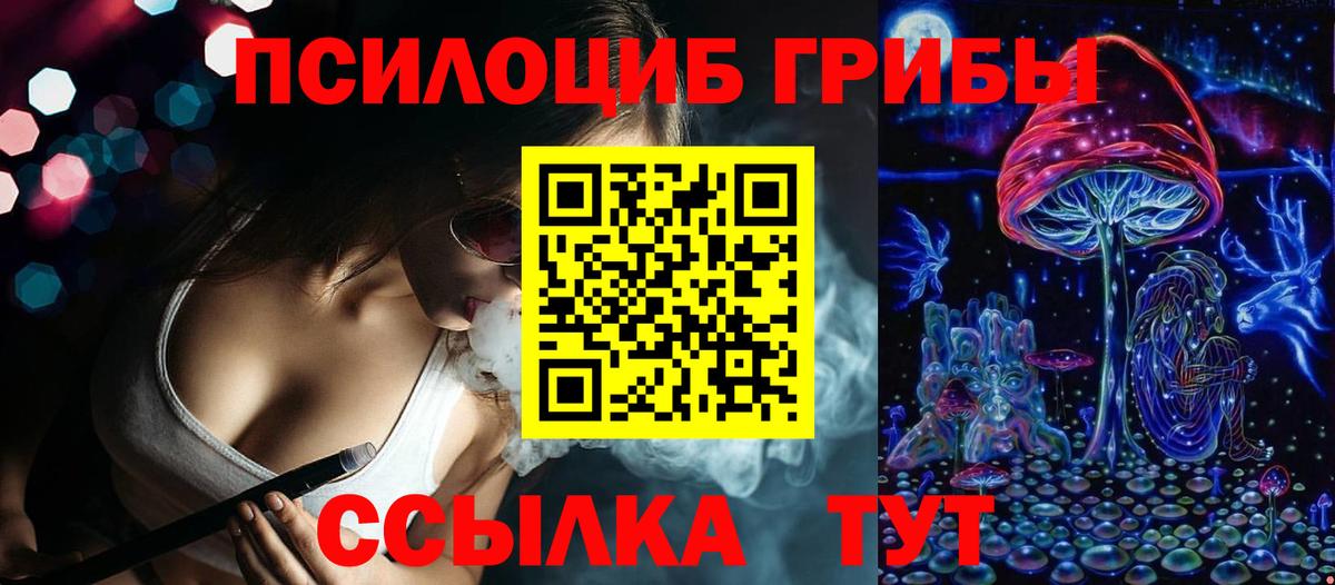Псилоцибиновые грибы Psilocybe Елец